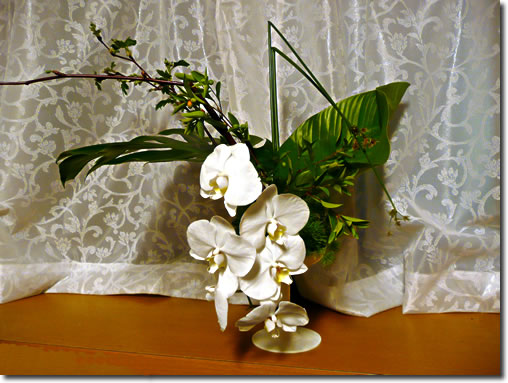 フラワーアレンジメント(2008年 面と線）