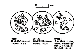 光学顕微鏡で見たそば粉の粒子